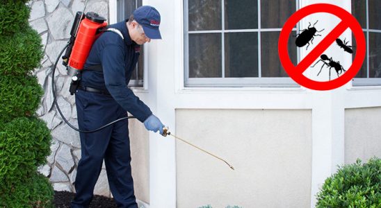 Saruhanlı Fare İlaçlama böcek ilaçlama ve haşere kontrolü — ilaclama-tr.com